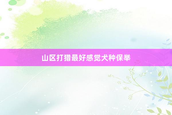 山区打猎最好感觉犬种保举