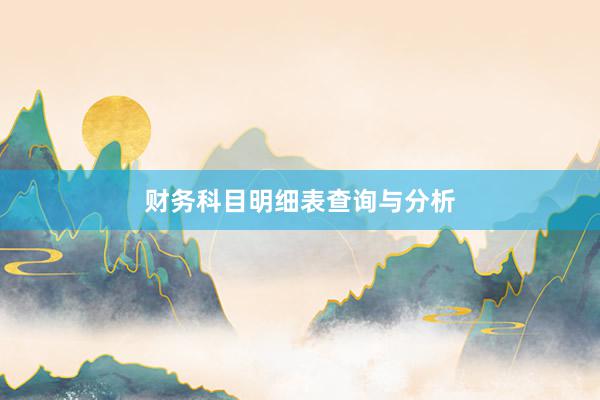 财务科目明细表查询与分析