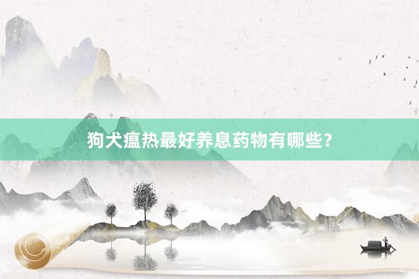 狗犬瘟热最好养息药物有哪些？